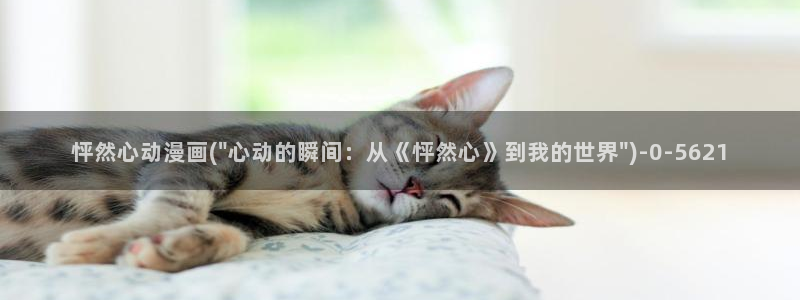 78动漫模型玩具网