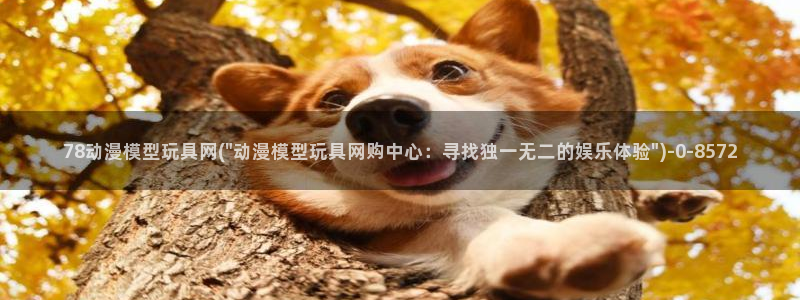 动漫网：78动漫模型玩具网(\