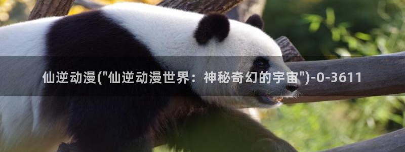 激情动漫