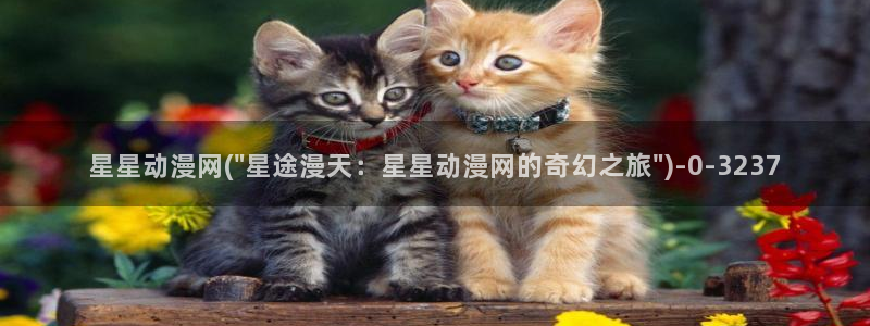 风车动漫网
