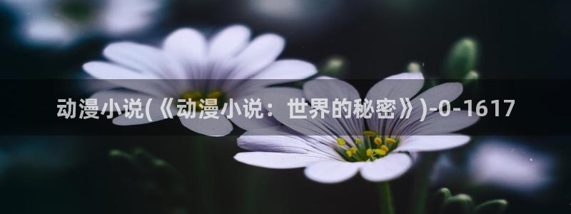 acg动漫